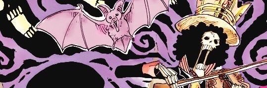 rae | ೃ࿔₊• banner