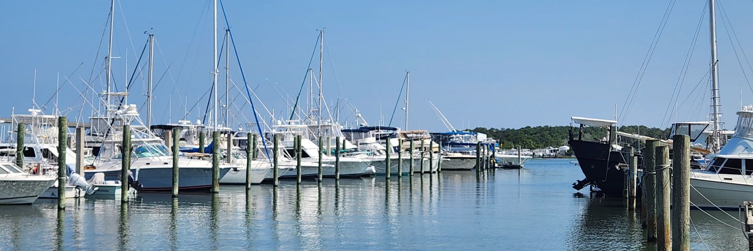 Heather Nicole banner