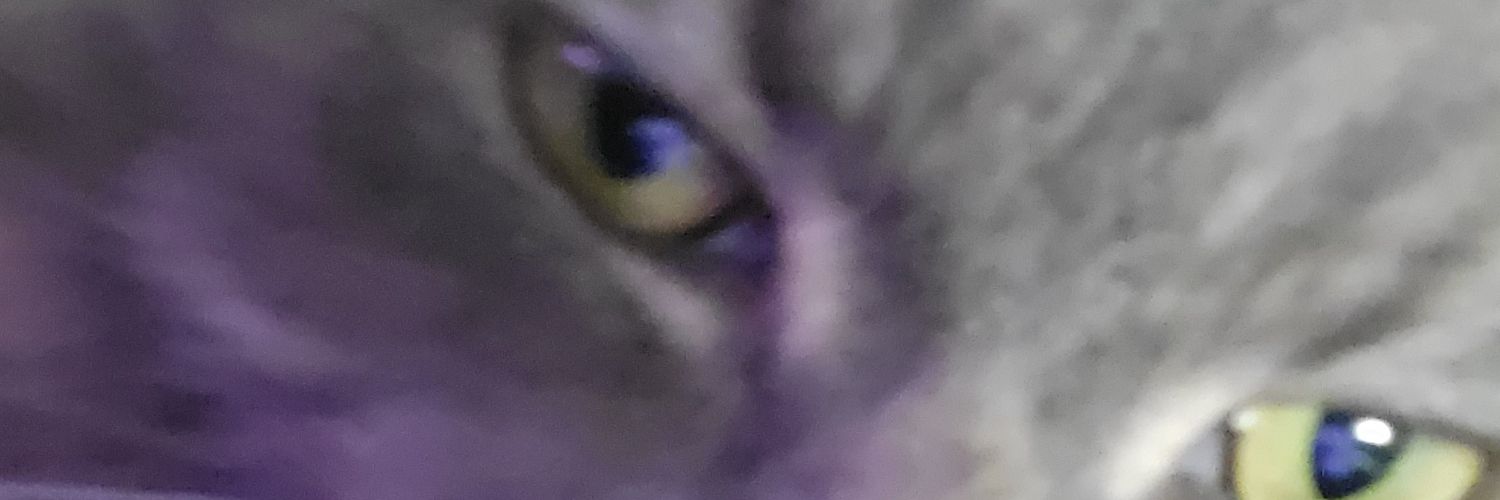 😼 banner