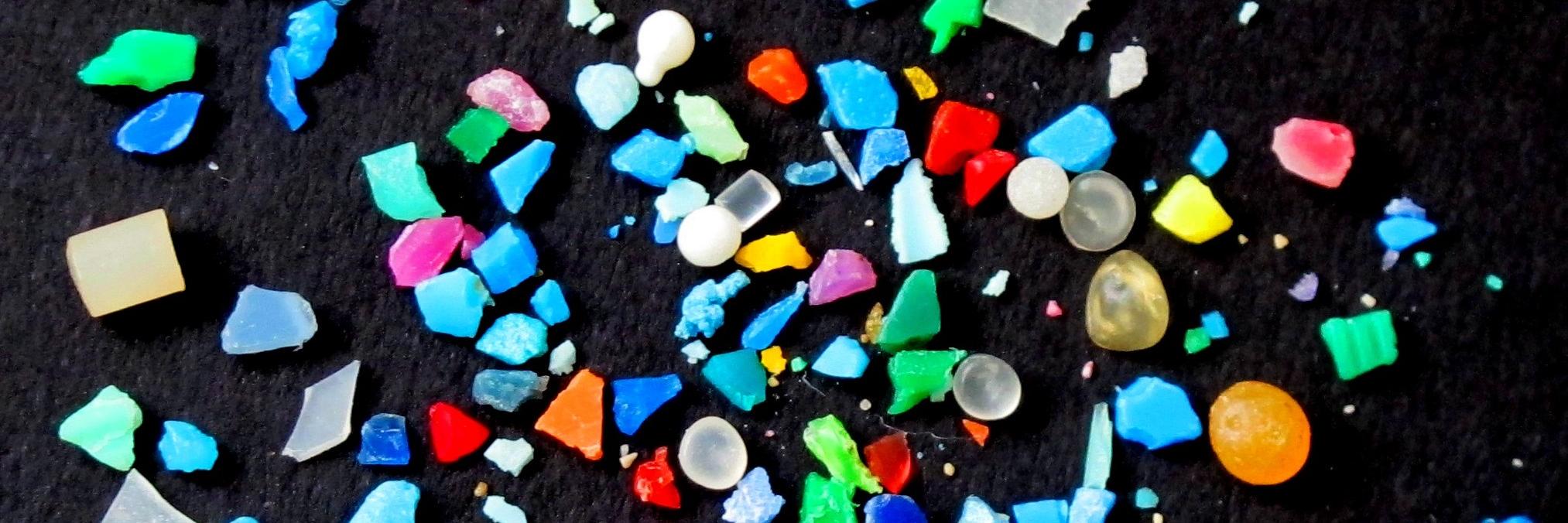 Stephanie Wright banner