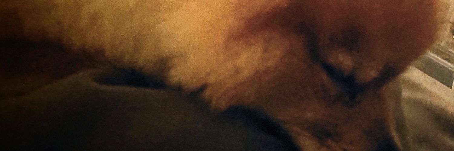 togenky0's profile banner image
