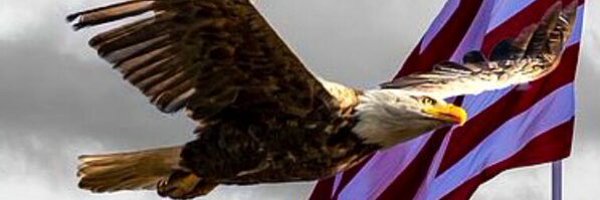 Toni_1487 Profile Banner