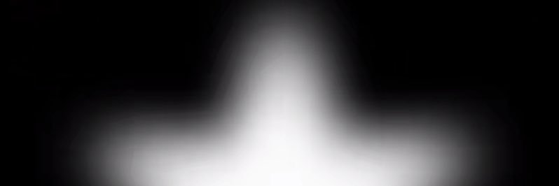 bug banner