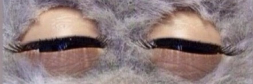 GuillermoCT's profile banner image