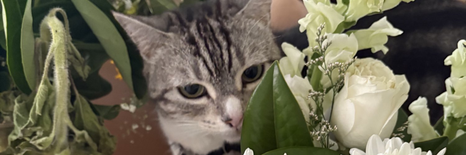 activemuffin's profile banner image