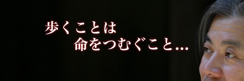 Disukesiba's profile banner image