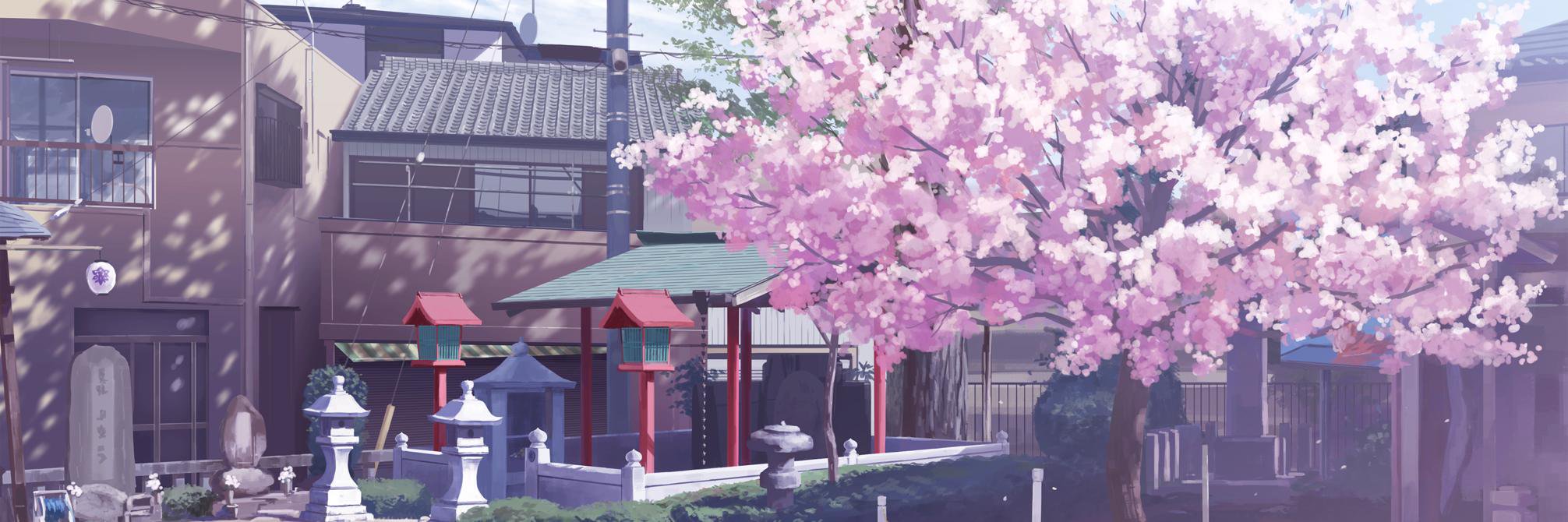 peanutkuma's profile banner image