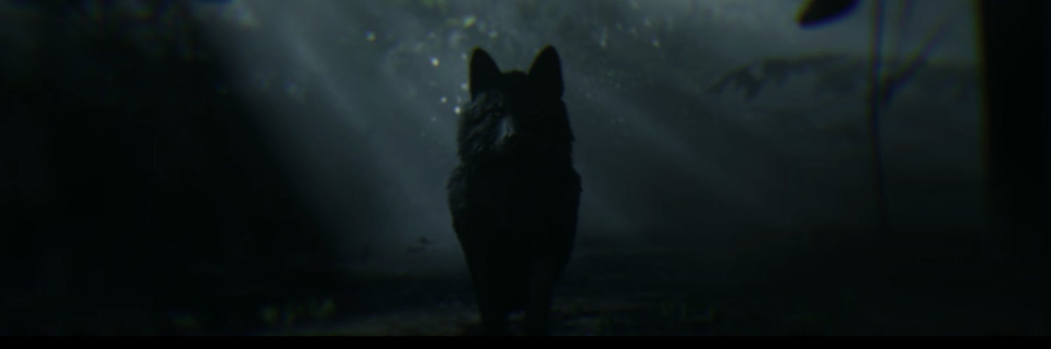 xSorrenx's profile banner image