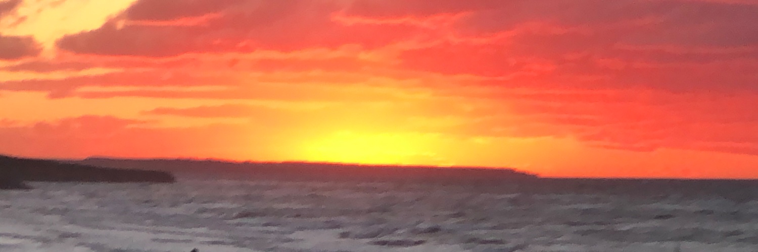 markmedland's profile banner image