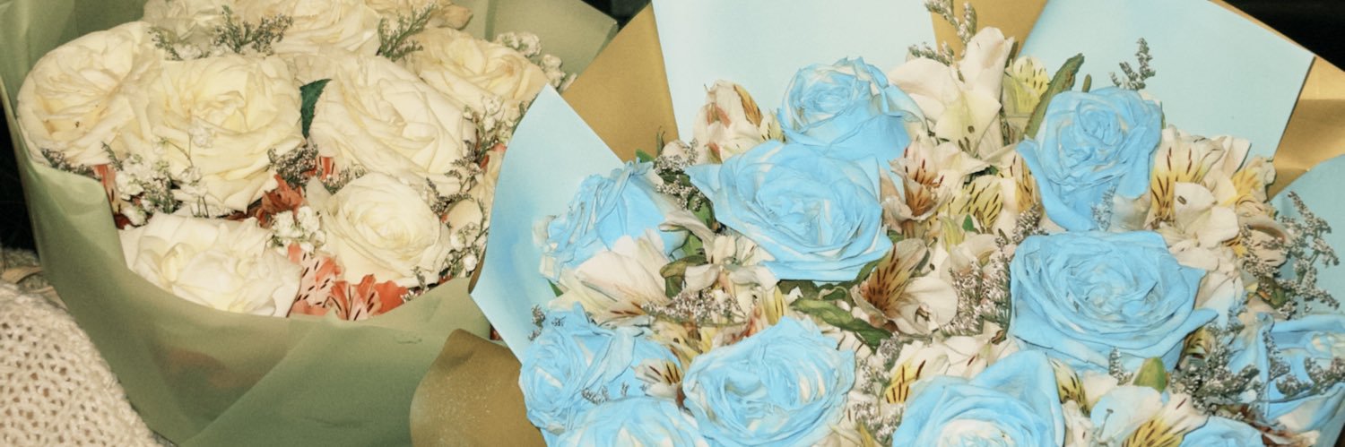 ASHLY WITHOUT E 🌸 banner