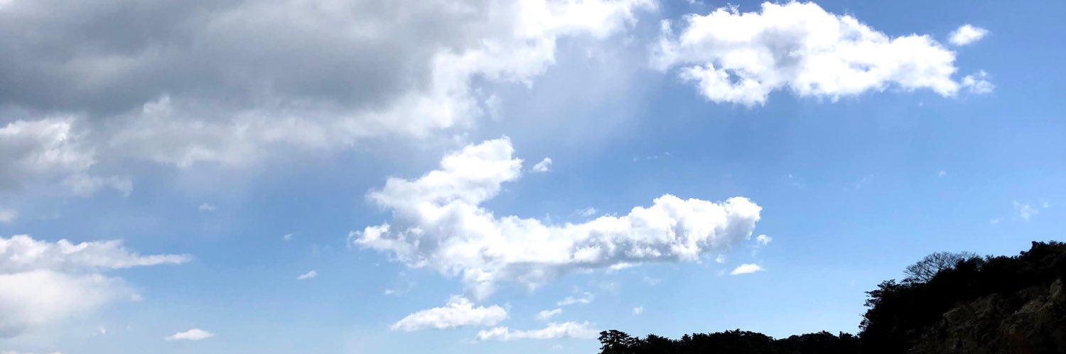 ぽる太@ツイフィ必読🙇 banner