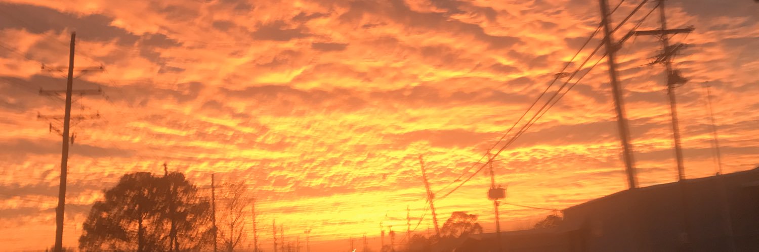 WickedWanda55's profile banner image
