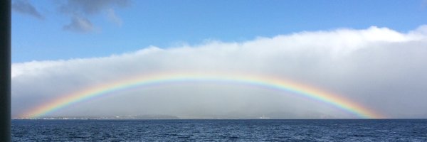 rebound Profile Banner