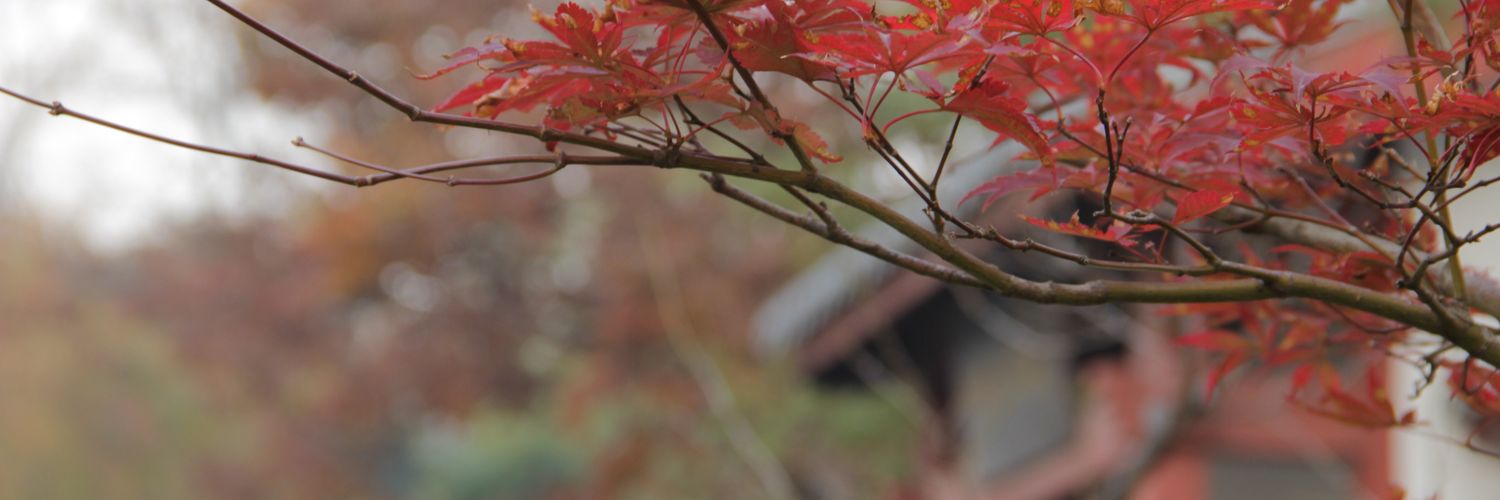 Ammk_Tony's profile banner image