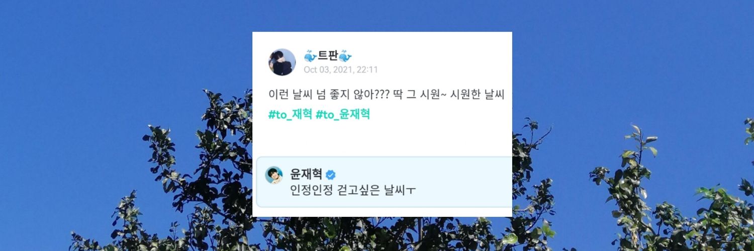 트판 🐳 (SLOW) banner