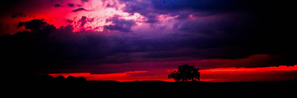Lebrowniiz's profile banner image