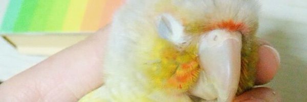 clefs27 Profile Banner