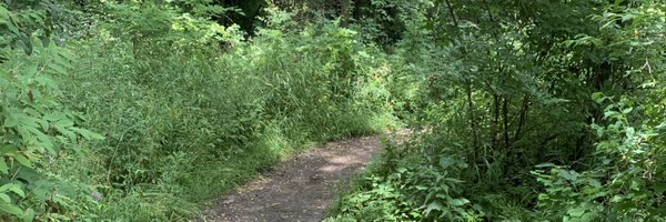 KevinPauga Profile Banner