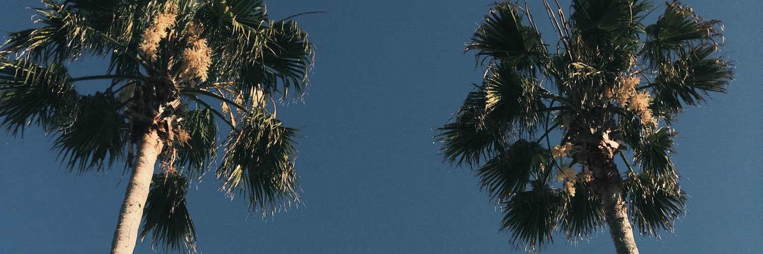 therachcro's profile banner image