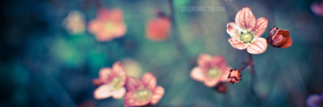 LisaSanders01's profile banner image