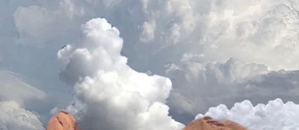 ali_altwaim's profile banner image