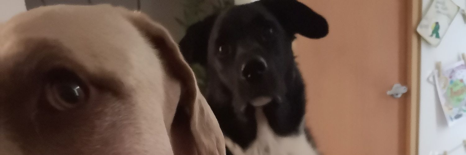 SandraTejeiroR's profile banner image