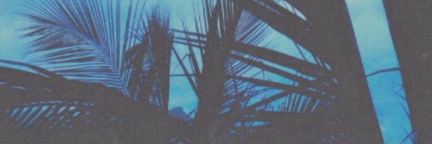perfectdrauhls's profile banner image