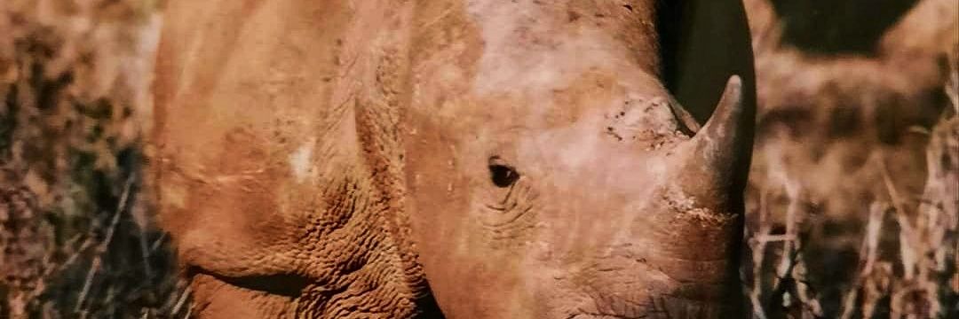 AshwellGlasson banner