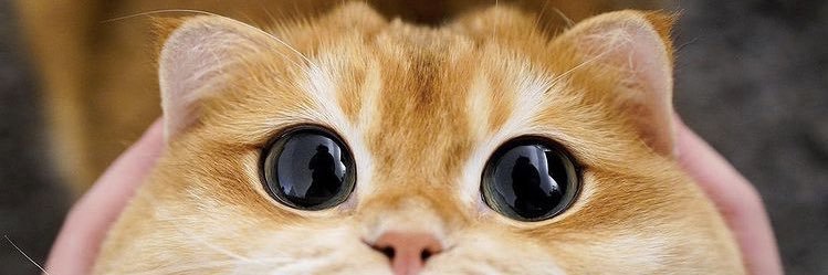 mmm__rr123's profile banner image