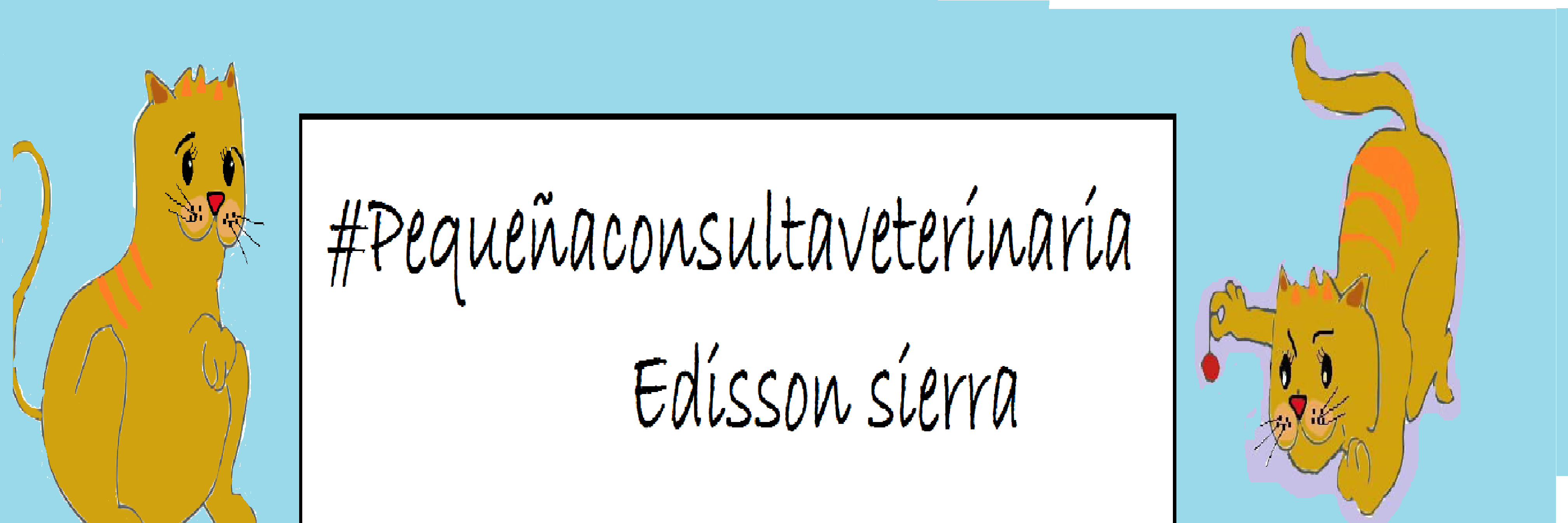 EdissonSierra's profile banner image