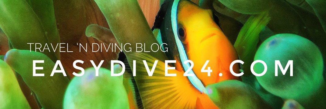 easydive24's profile banner image