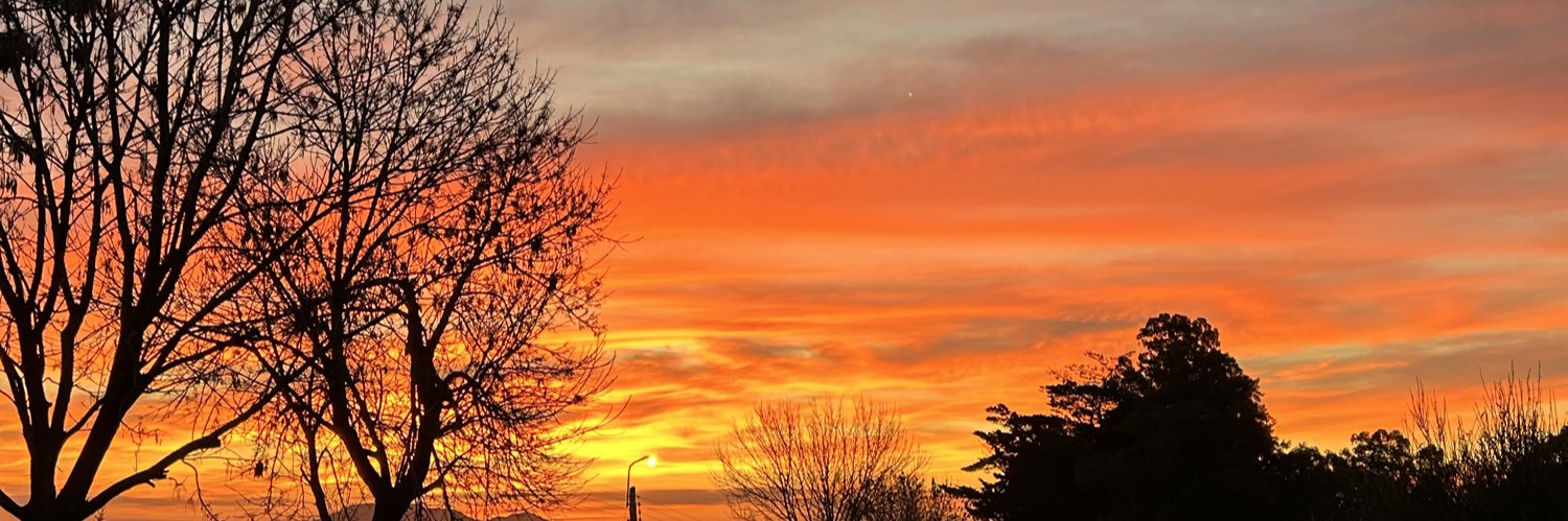 Josefina_PI's profile banner image