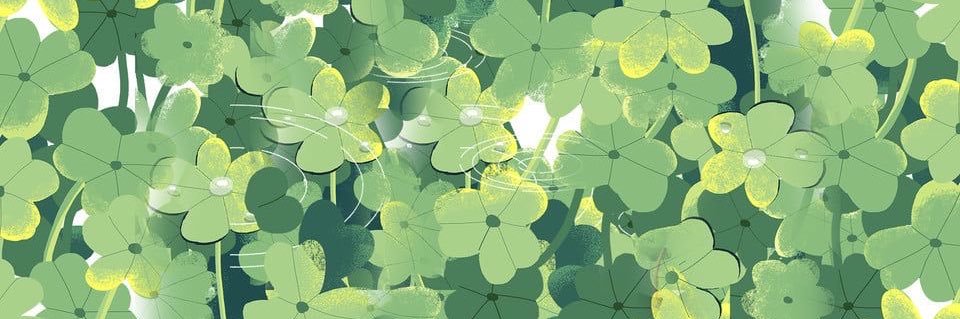 ☘️ Petra ★ banner