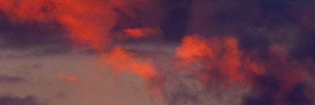 reallymooks's profile banner image