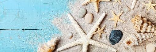 matemathteacher's profile banner image