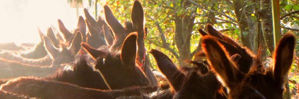 MiguelG36874562 Profile Banner