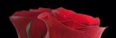 sosor14's profile banner image