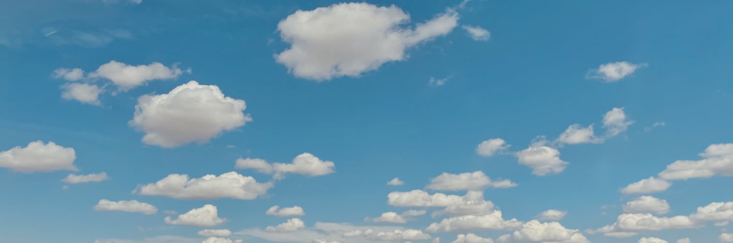 bïpölar gömböc banner