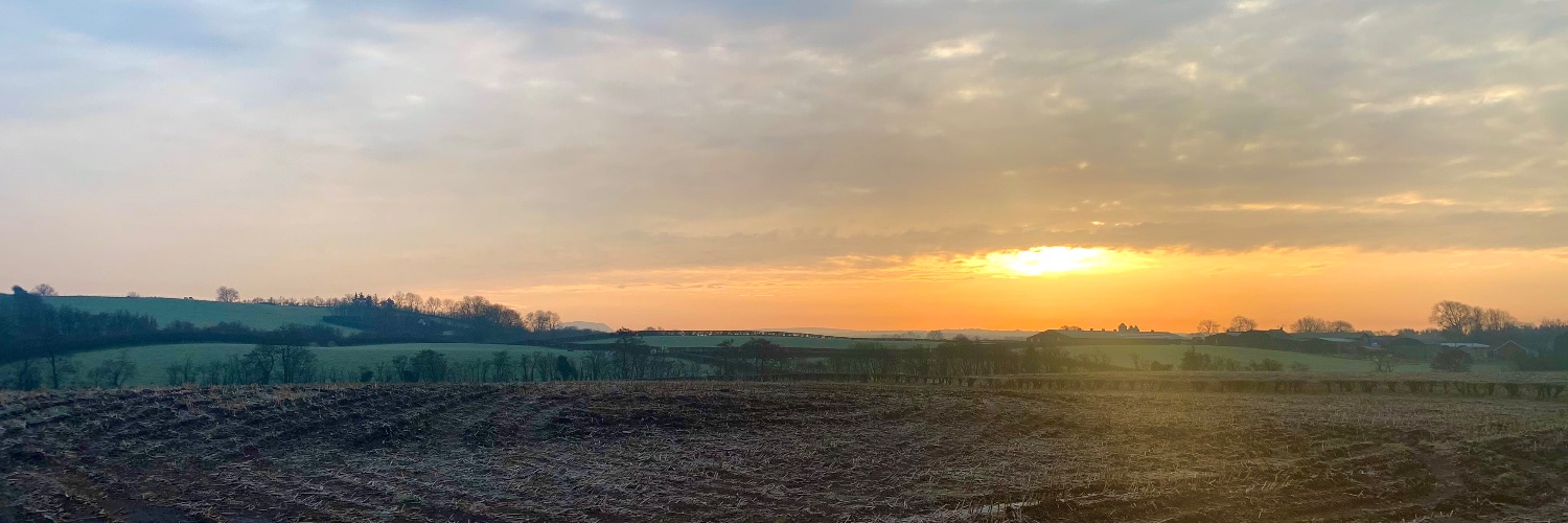 Rían Ó Díomasaigh banner