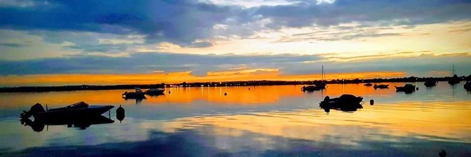 Martin Carroll banner