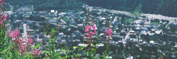 yudypon Profile Banner