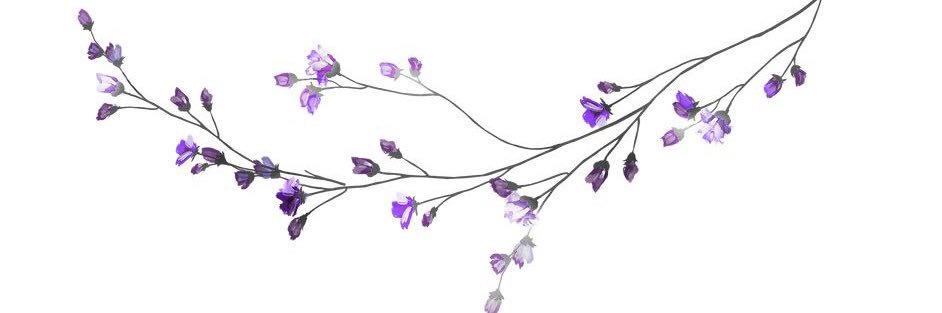 PetitYessmar's profile banner image