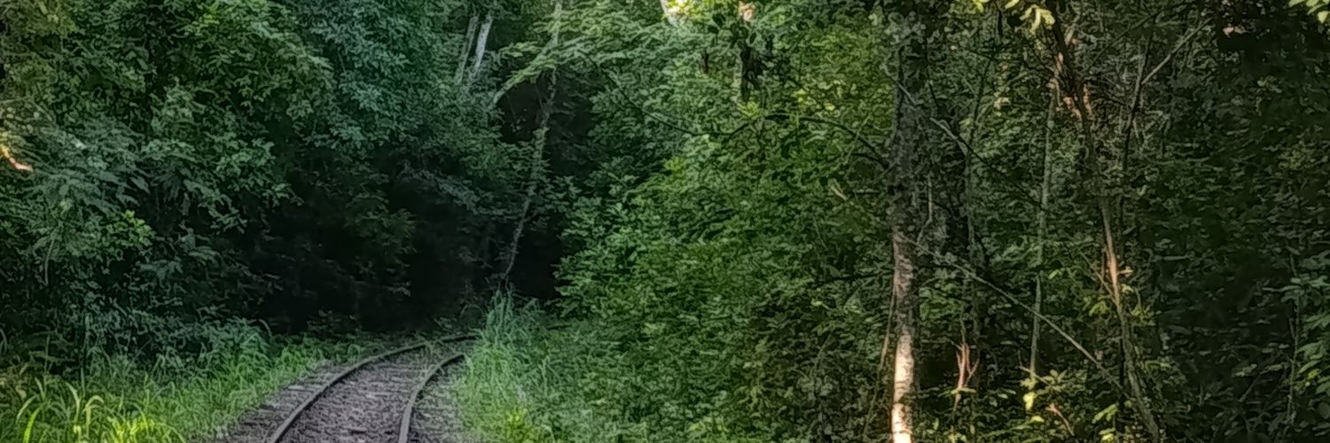 cara eu amo ratos pra krl banner