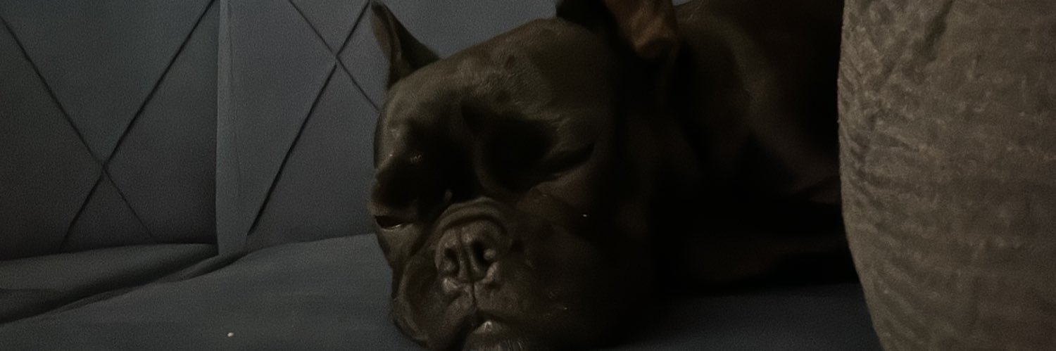 busraacereen's profile banner image