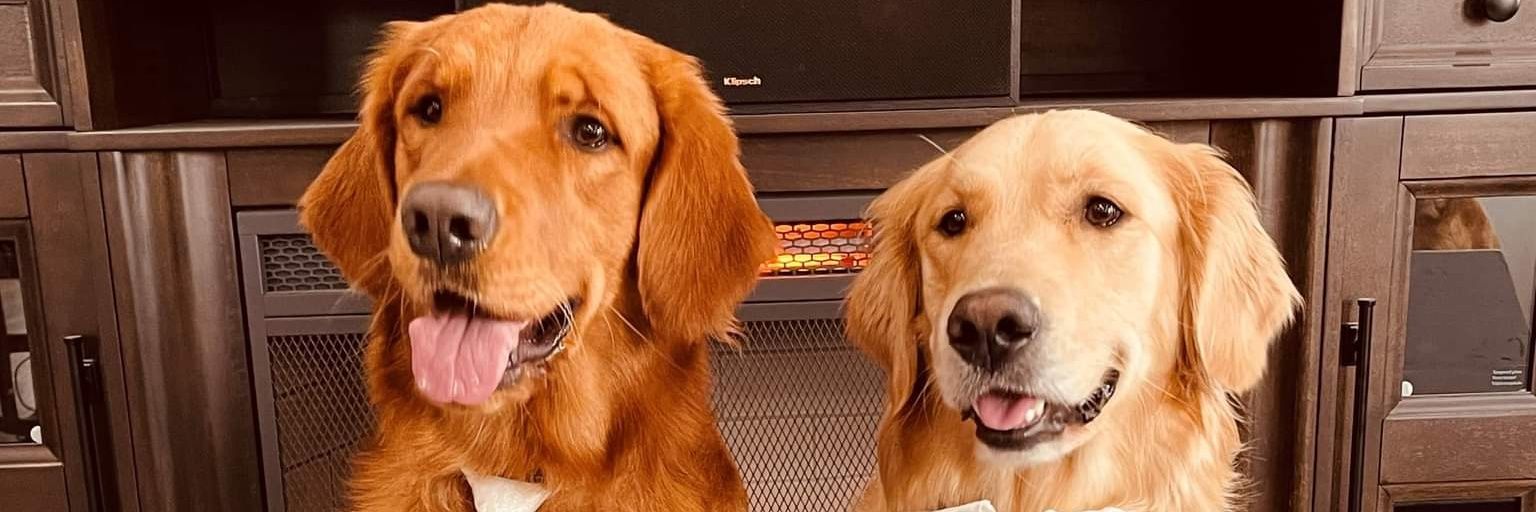 GernertsGoldens's profile banner image