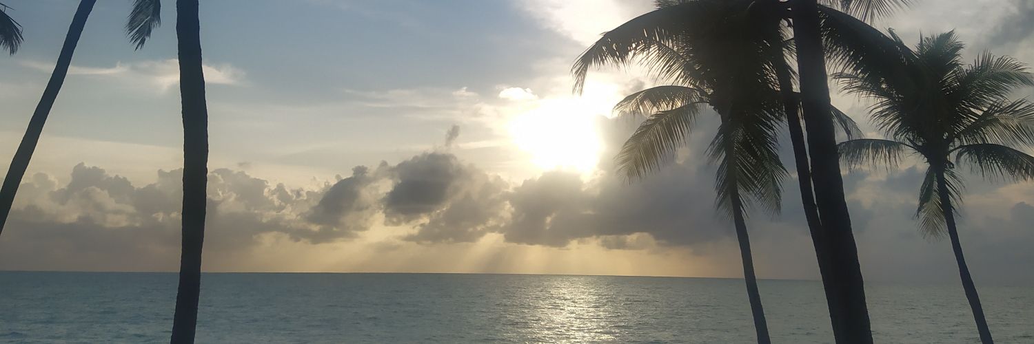 samuelmarci's profile banner image