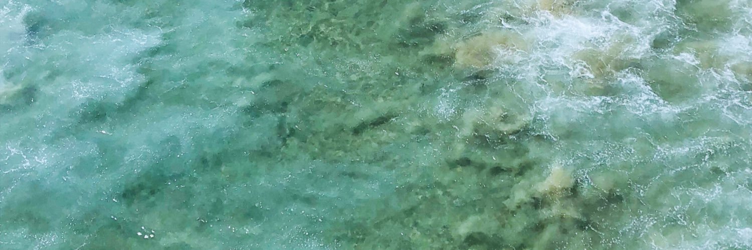 frogwi's profile banner image