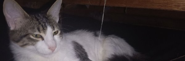 IDrako01 Profile Banner