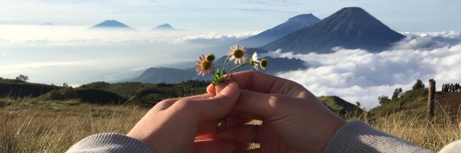 debbyCRP's profile banner image