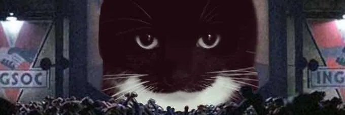 PkmRP1's profile banner image